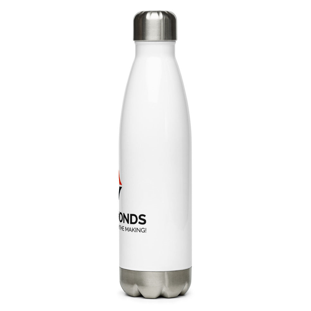 Stainless Steel Water Bottle