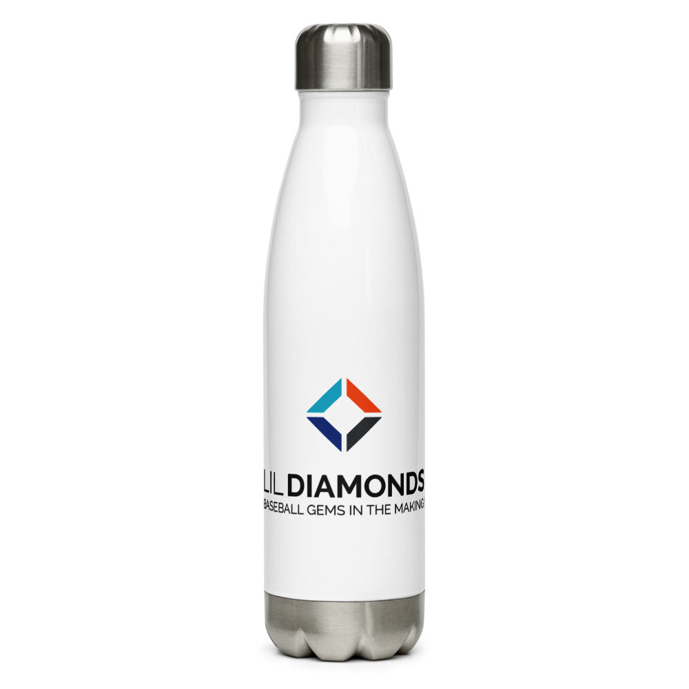 Stainless Steel Water Bottle